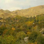 بررسی بانو صحرا کردان