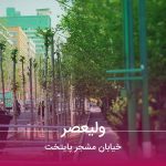 محله ولیعصر خیابان مشجر پایتخت